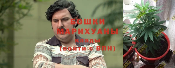 амфетамин Горнозаводск
