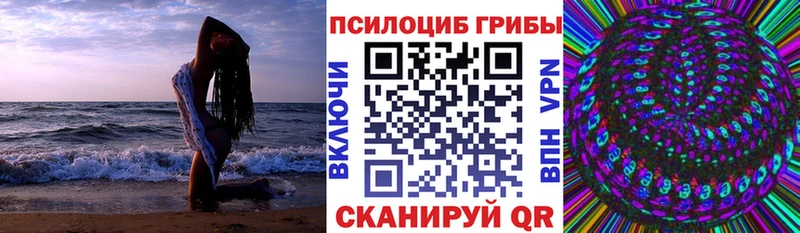 Галлюциногенные грибы прущие грибы  хочу наркоту  Михайлов 